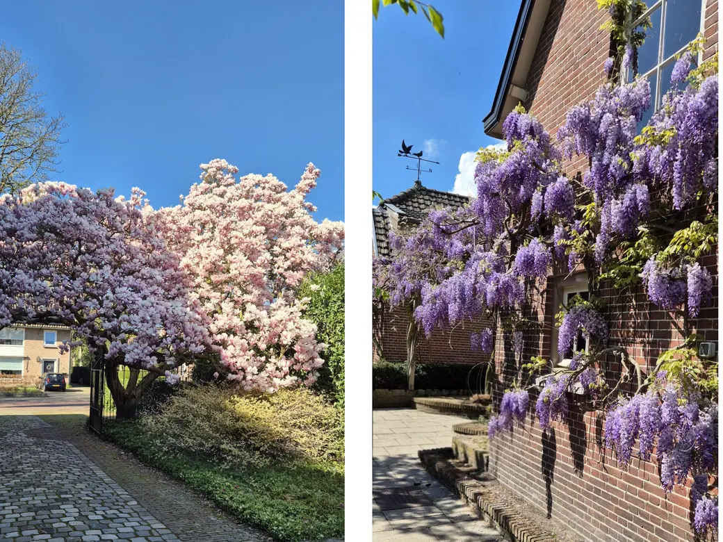 Foto van Kastanjelaan 5