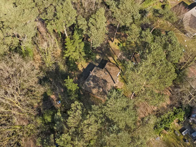Foto van Spechtbos 8