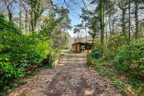 Spechtbos 8