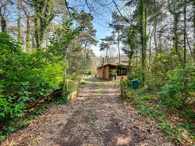 Foto van Spechtbos 8