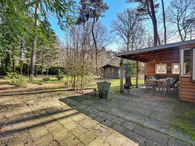 Foto van Spechtbos 8