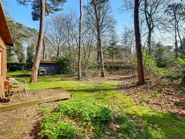 Foto van Spechtbos 8