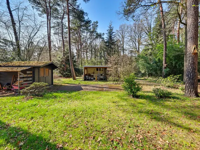 Foto van Spechtbos 8