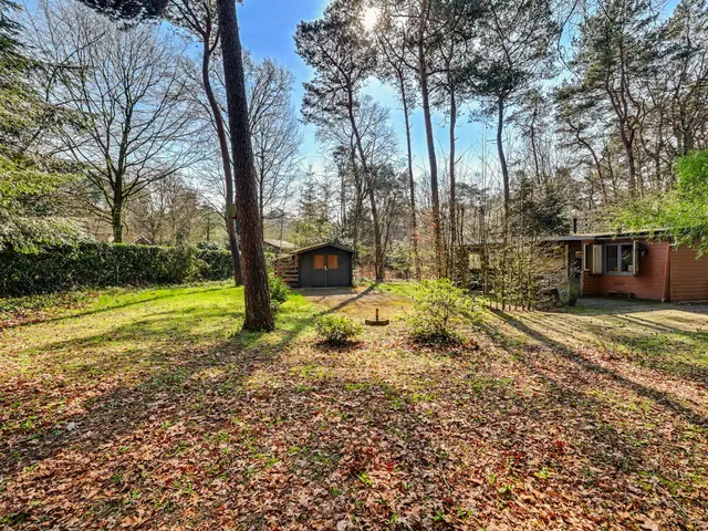 Foto van Spechtbos 8