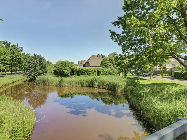 Foto van Ranonkelstraat 28