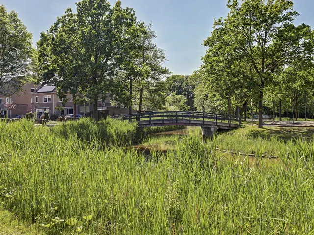 Foto van Ranonkelstraat 28