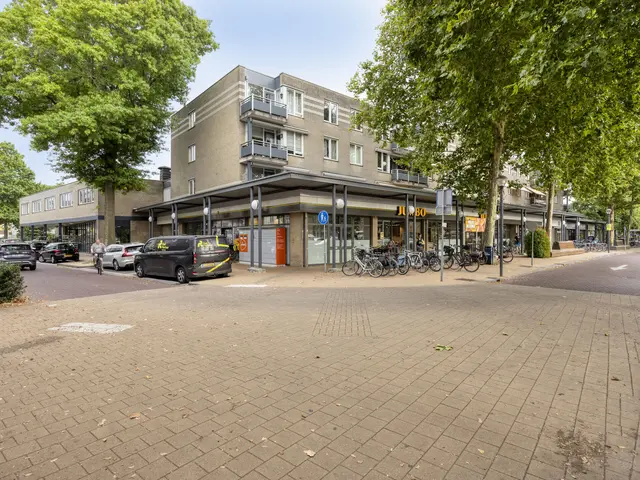 Foto van Moleneindplein 163