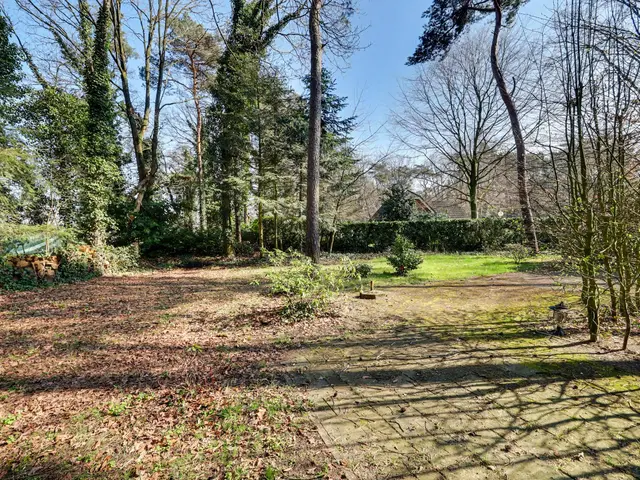 Foto van Spechtbos 