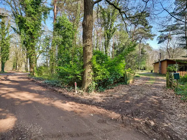 Foto van Spechtbos 