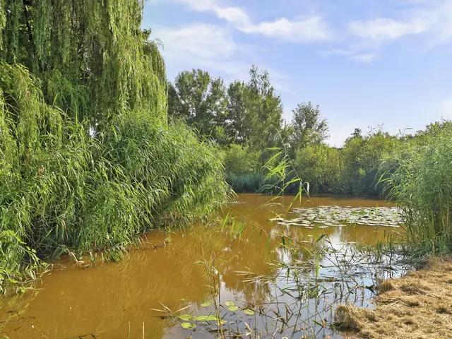 Foto van Heunpark 2314