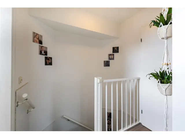 Ekster 4 foto 20