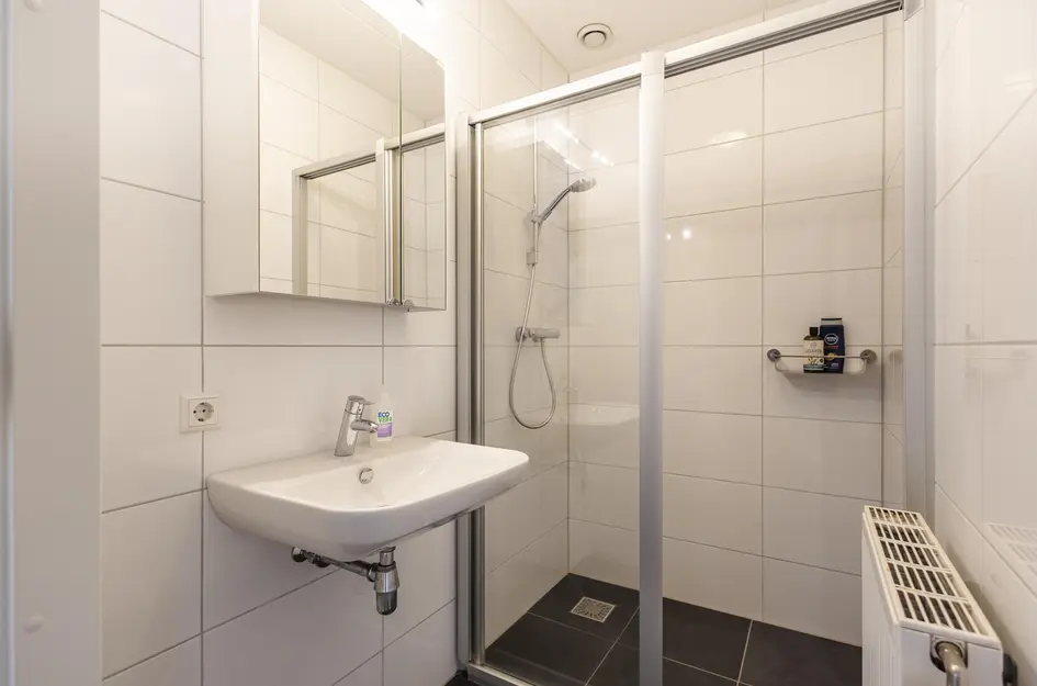 Dreesstraat 19