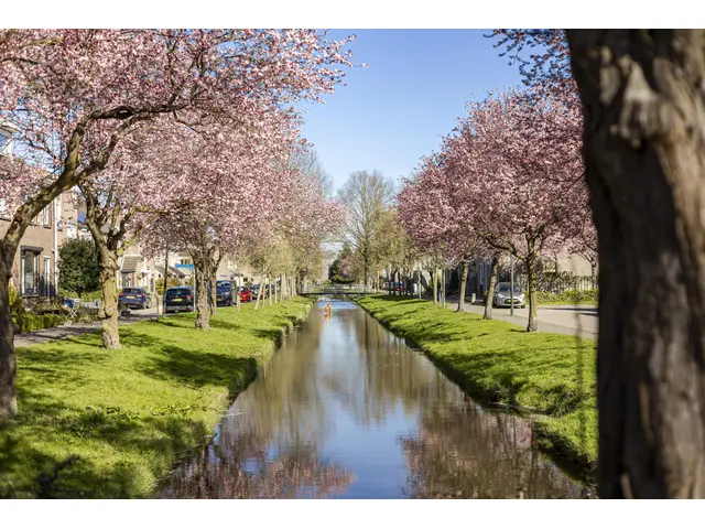Van Leijdenstraat 26 foto 35