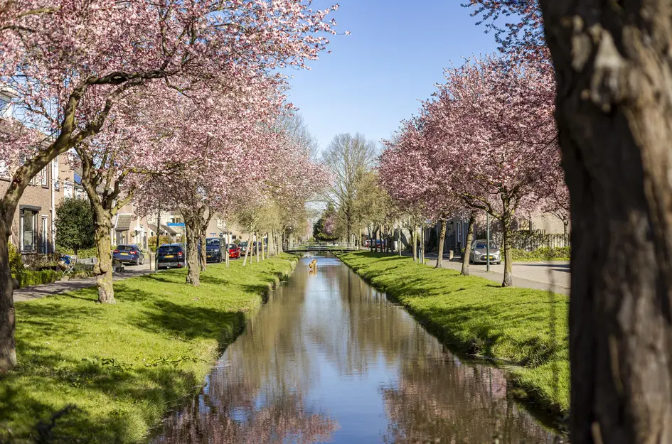 Van Leijdenstraat 26