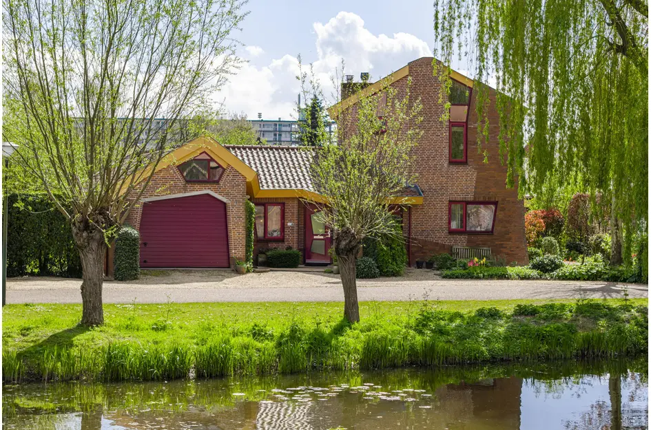 Knobbelzwaan 4