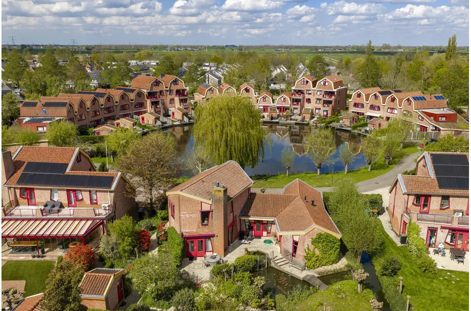 Knobbelzwaan 4