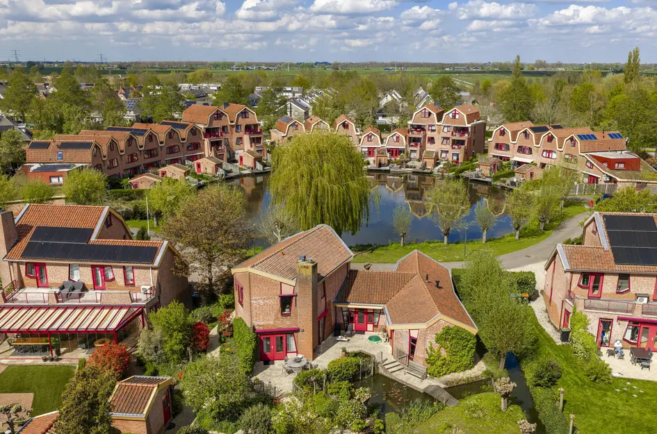 Knobbelzwaan 4