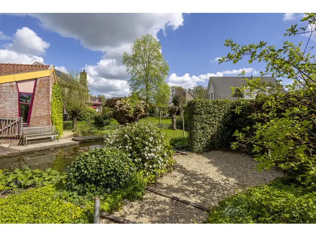 Knobbelzwaan 4 foto 33