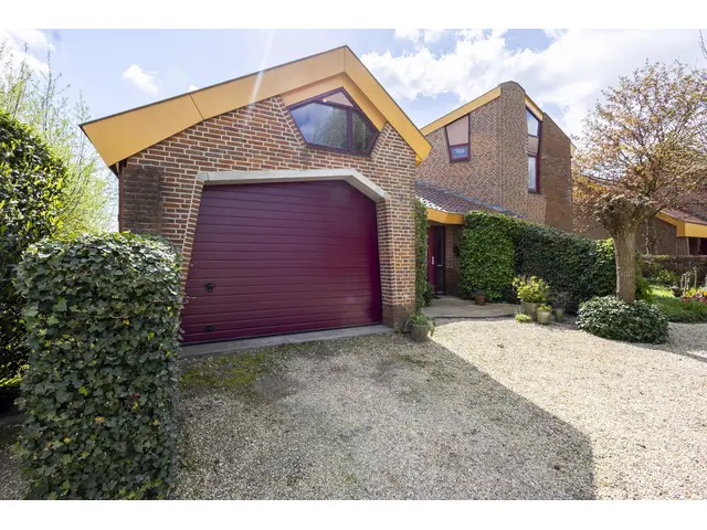 Knobbelzwaan 4 foto 41