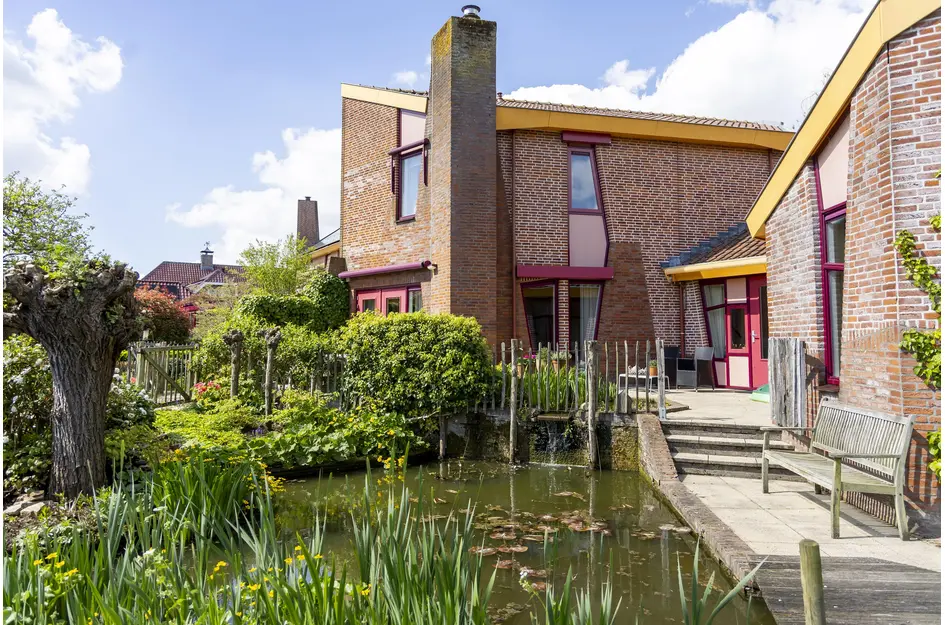 Knobbelzwaan 4
