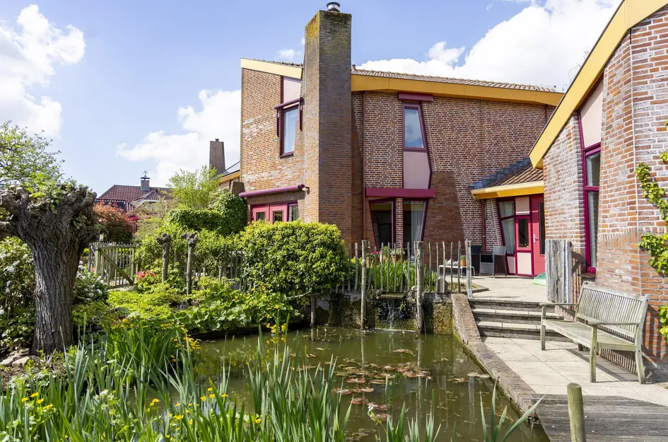 Knobbelzwaan 4
