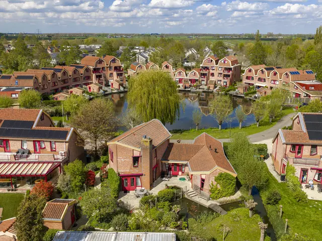 Knobbelzwaan 4 foto 45