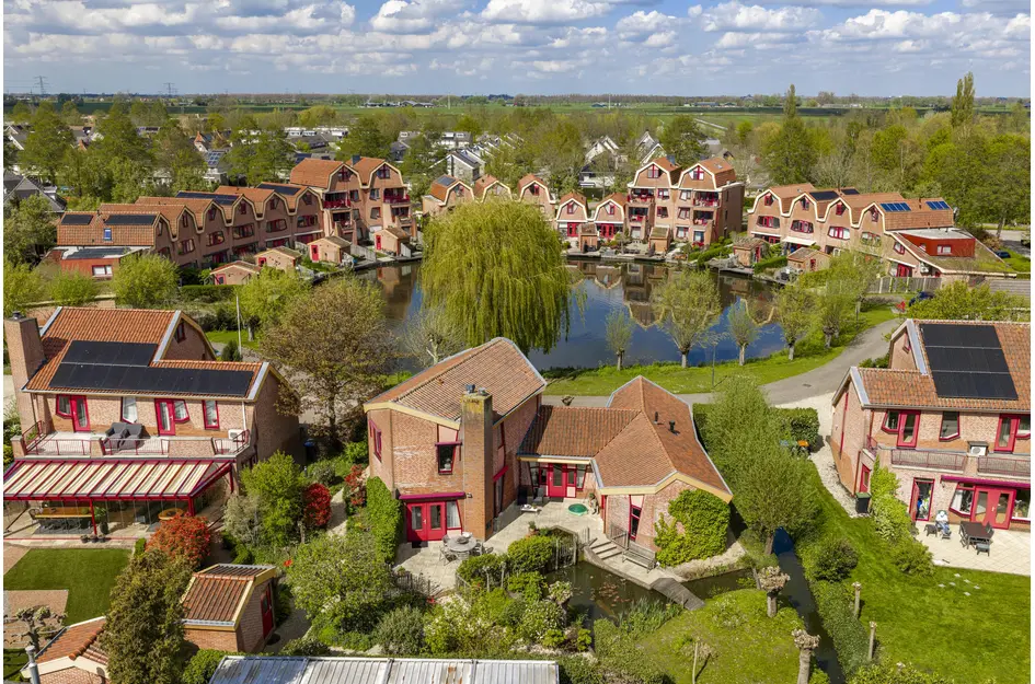 Knobbelzwaan 4