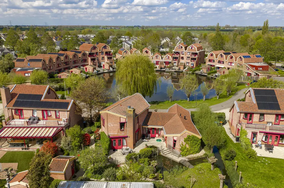 Knobbelzwaan 4