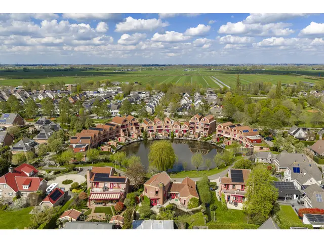 Knobbelzwaan 4 foto 46
