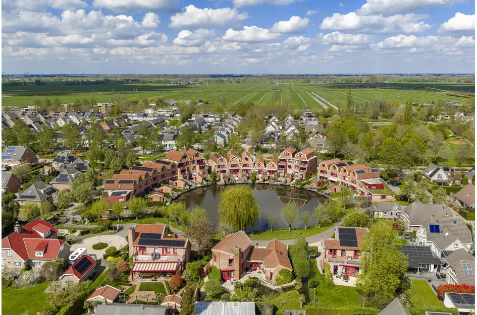 Knobbelzwaan 4