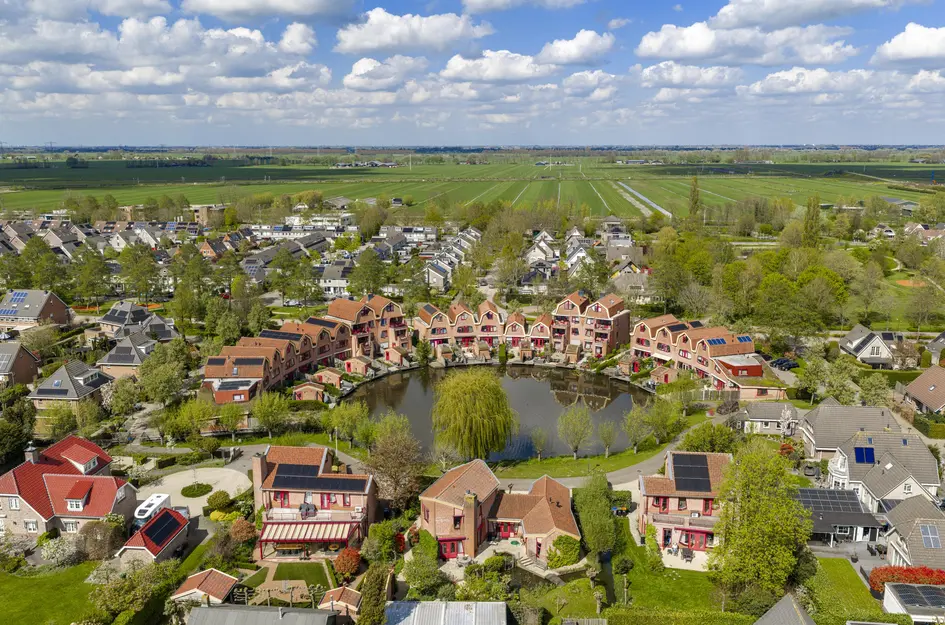 Knobbelzwaan 4