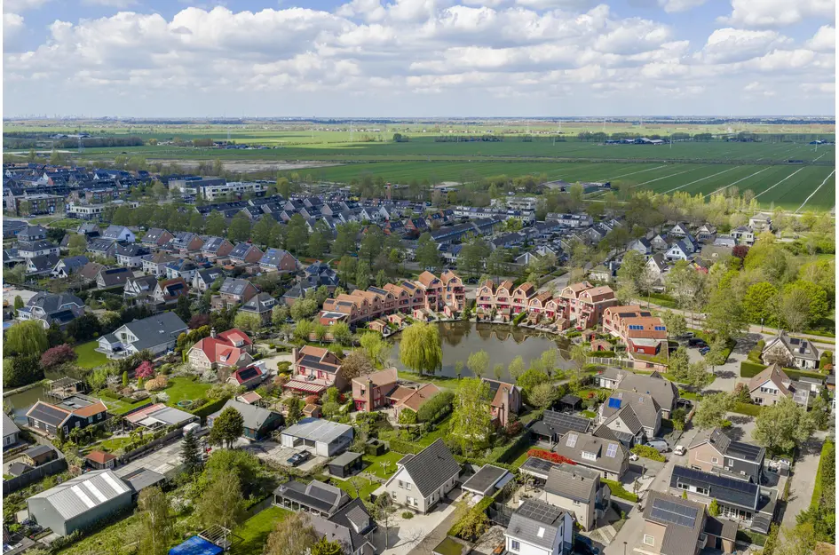 Knobbelzwaan 4