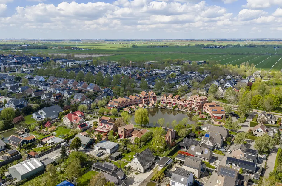 Knobbelzwaan 4