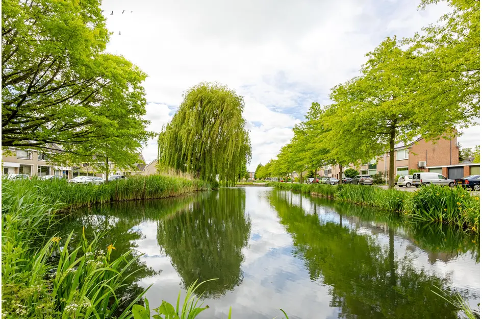 Leeuweriksingel 627