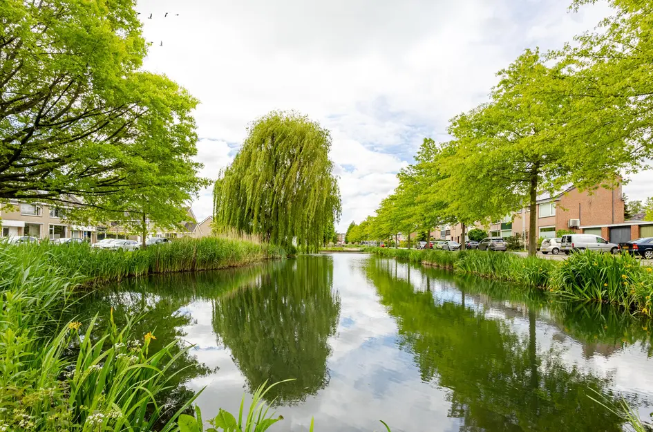 Leeuweriksingel 627