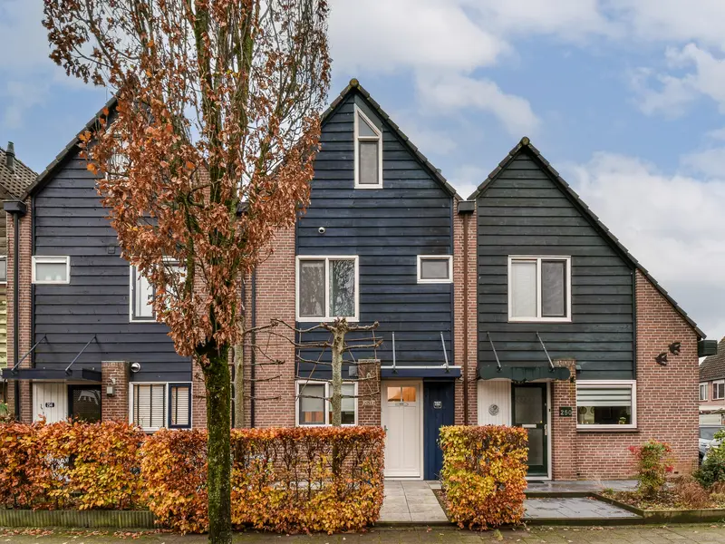 Ring 252, HENDRIK-IDO-AMBACHT