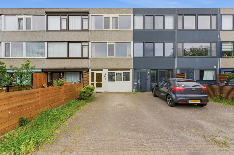 Haakdistel 23