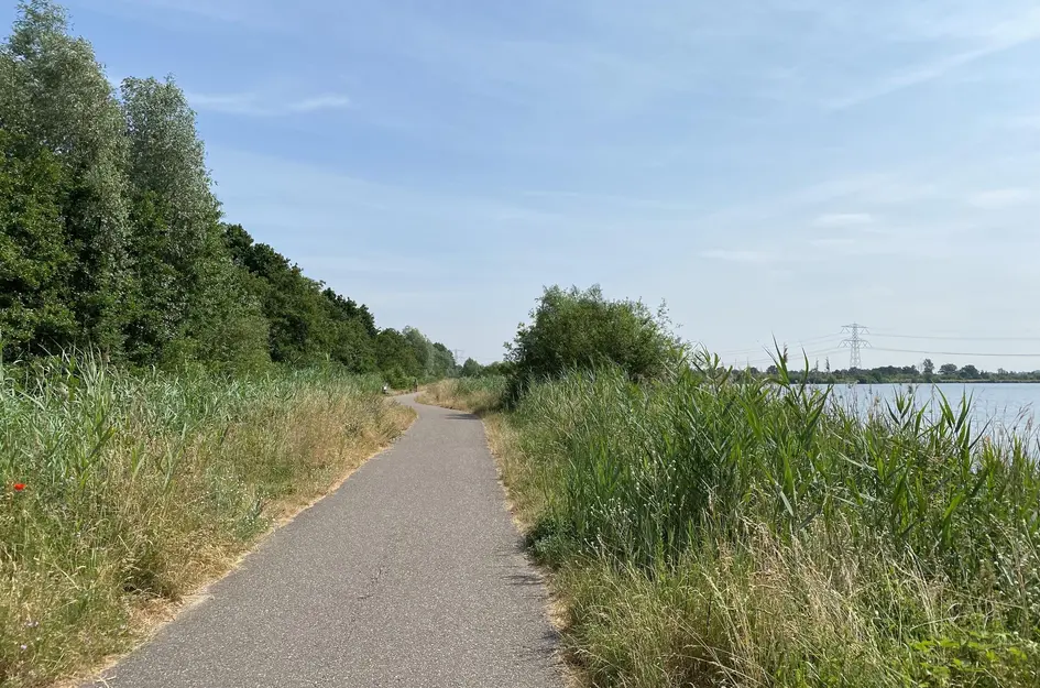 Veluwemeer 166