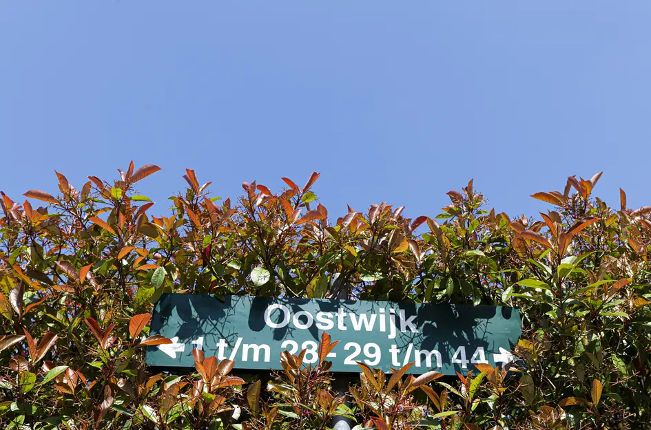 Oostwijk 34