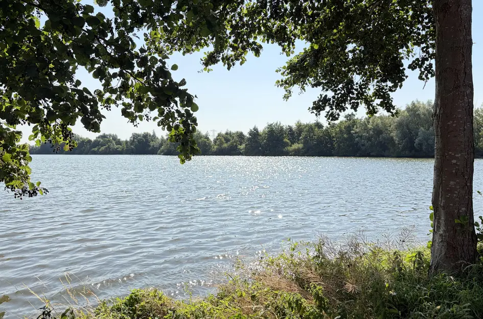 Veluwemeer 226