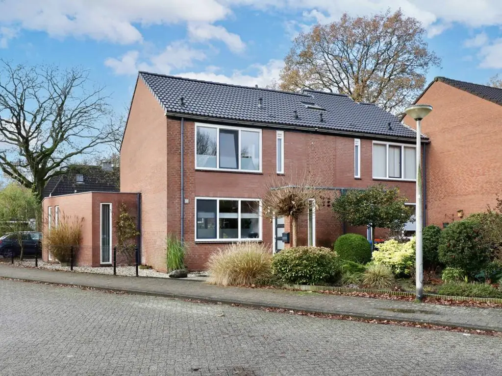 Tolick 41, HOOGLAND