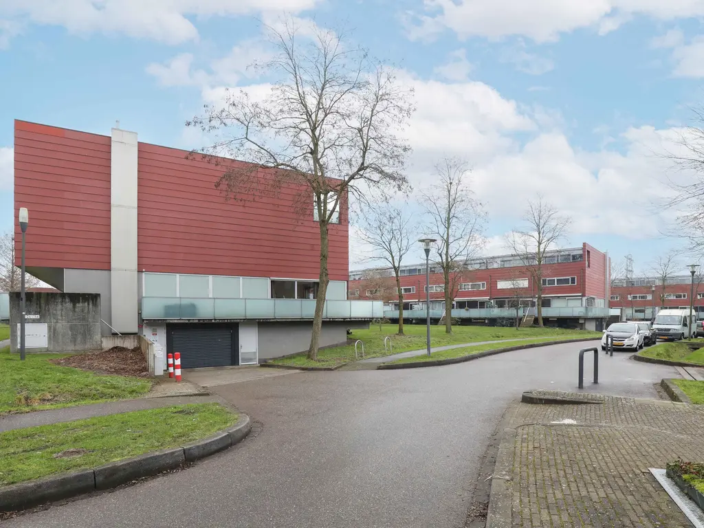 Meerval, AMERSFOORT