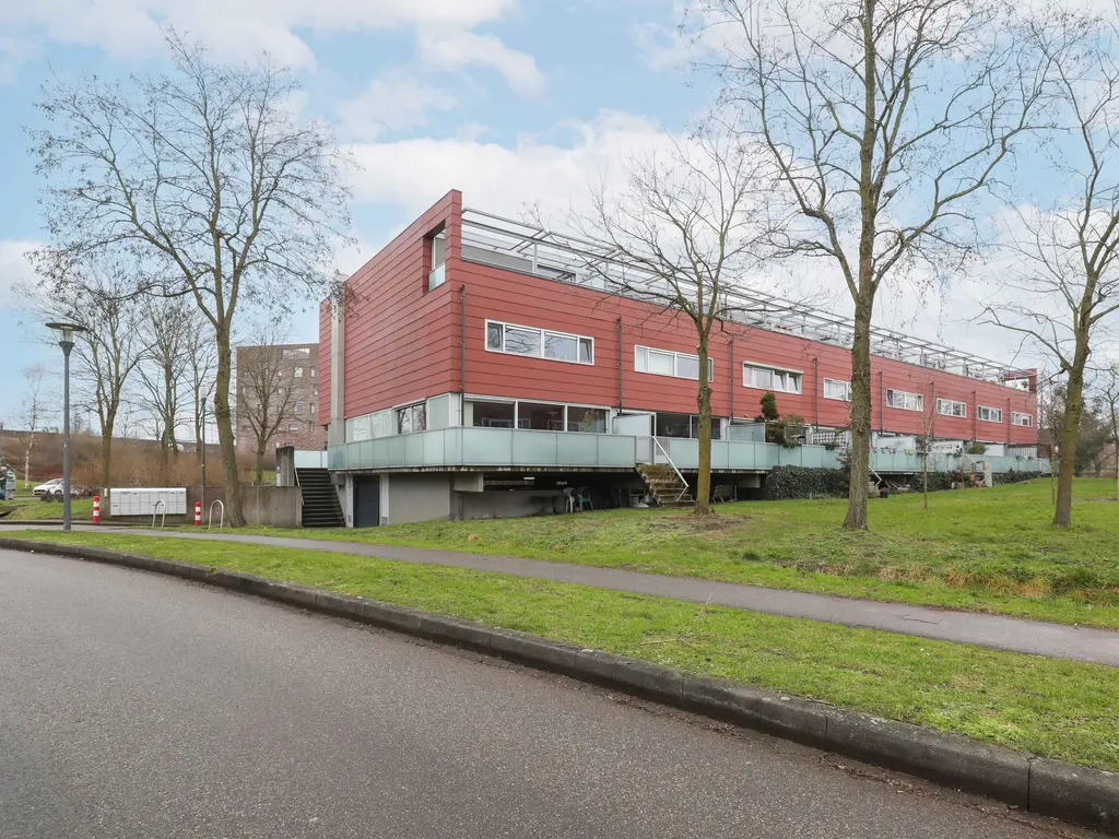 Meerval, AMERSFOORT