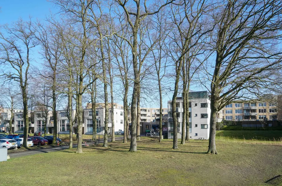 Emiclaerhof 84