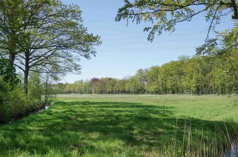 Coelhorsterweg 34