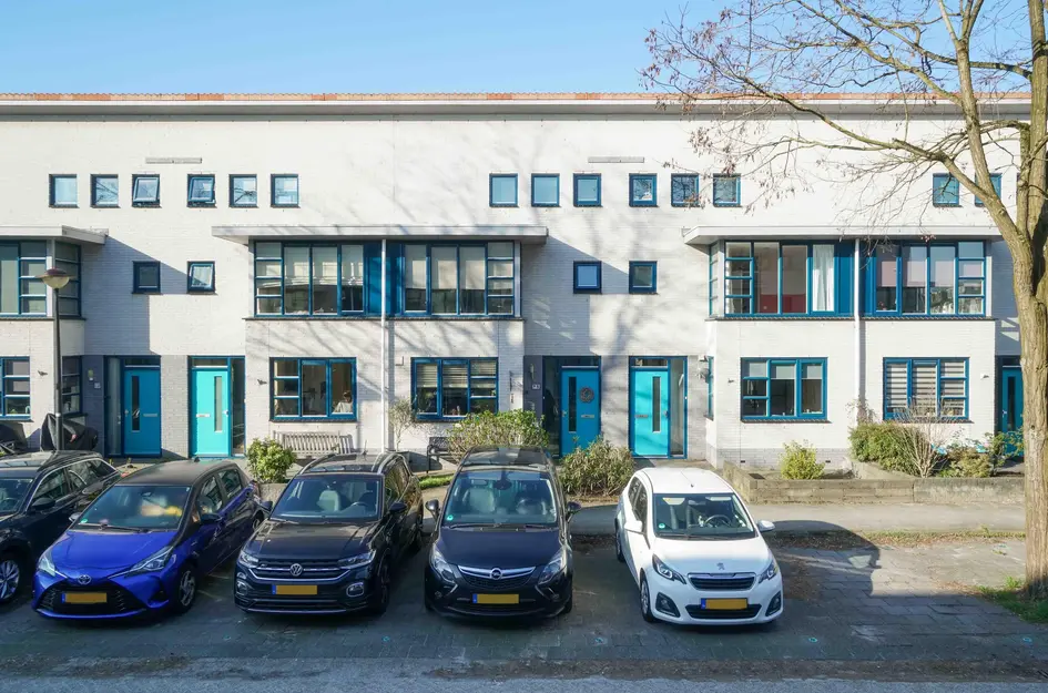Het Groene Schaap 8