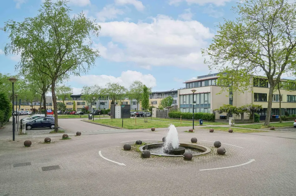 De Vergulde Pauw 4