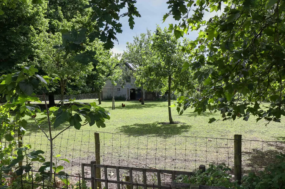 Laan der Winden 11