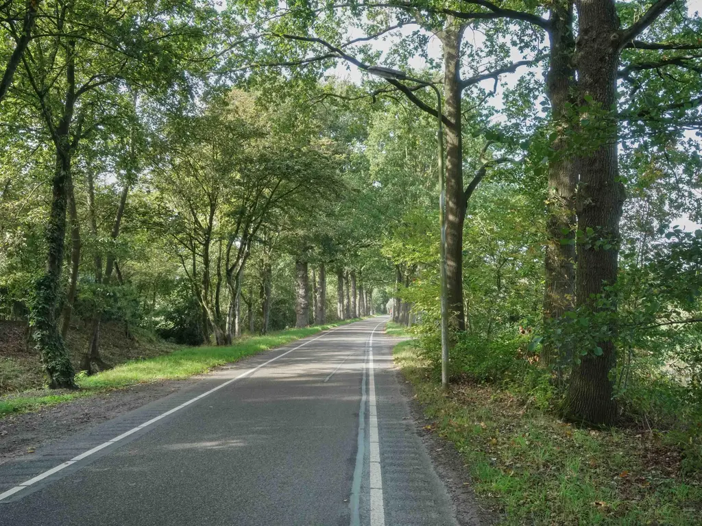 Van Boetzelaerlaan 34, HOOGLAND