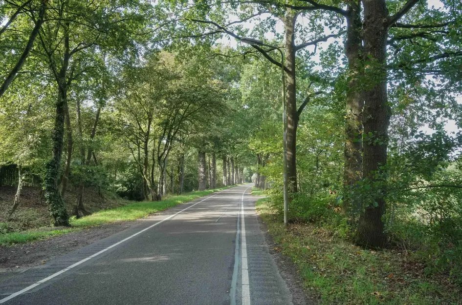 Van Boetzelaerlaan 34